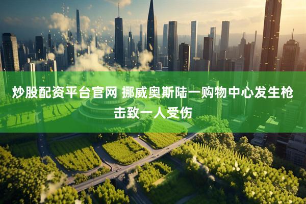炒股配资平台官网 挪威奥斯陆一购物中心发生枪击致一人受伤